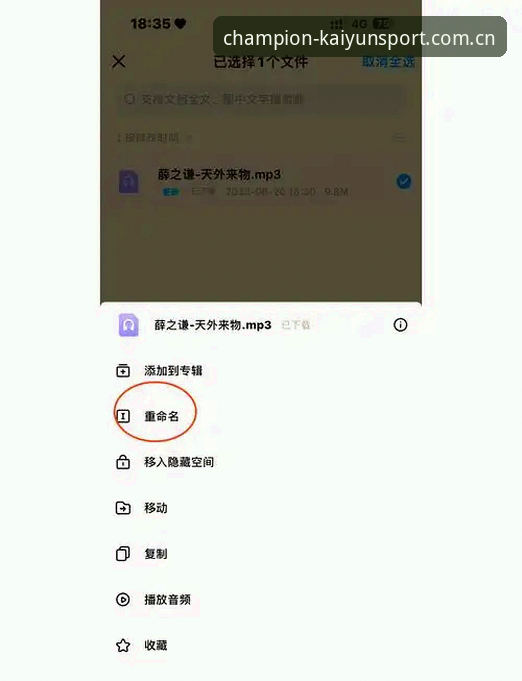 如何顺利完成KAIYUN移动端下载？新手必看操作全攻略